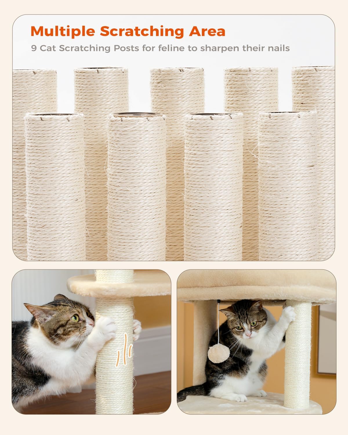 PETEPELA 61" Cat Tree for Indoor Cats, [6-Levels] Cat Climbing Tower with 9 Sisal Scratching Posts