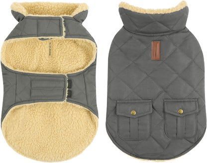 Queenmore Dog Winter Coat - Fleece Jacket, Waterproof Cold Weather Clothes, Thick Warm Cotton