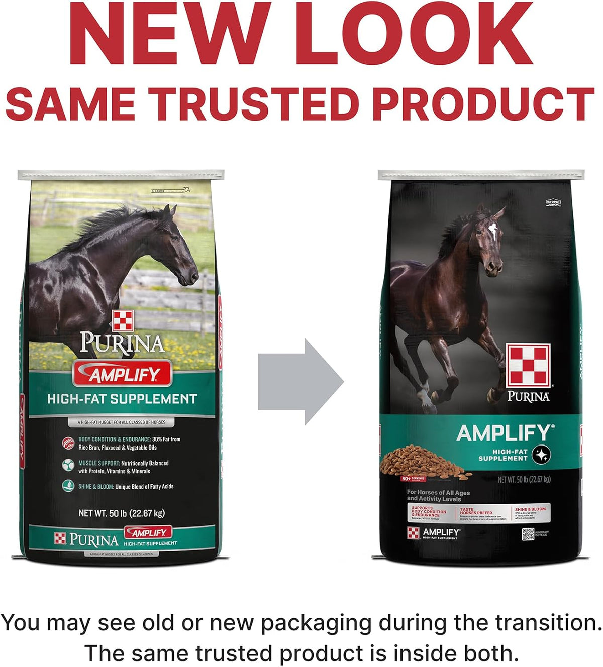 Purina, Amplify Equine, High-Fat Horse Supplement for Maintenance, Breeding, & Performance Horses