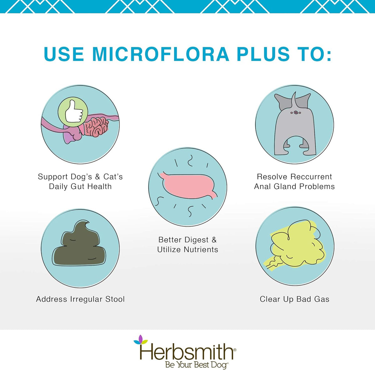 Herbsmith Microflora Plus – Dog Digestion Aid –Probiotics and Digestive Enzymes for Dogs