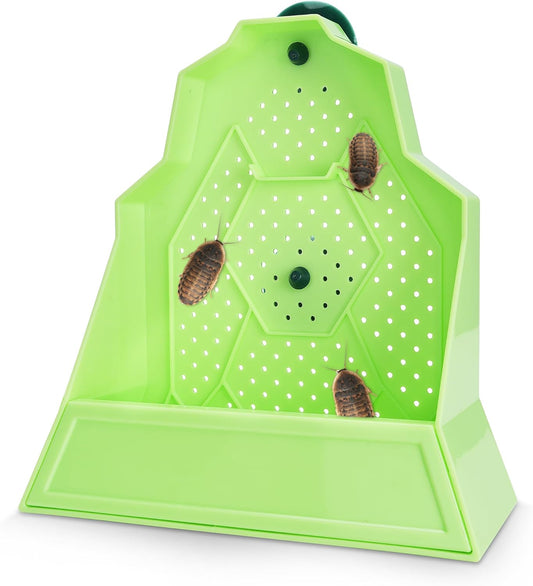Reptile Anti-Escape Feeding Bowl, Wall-Mounted Feeder for Reptile, Stimulate Hunting Accessories