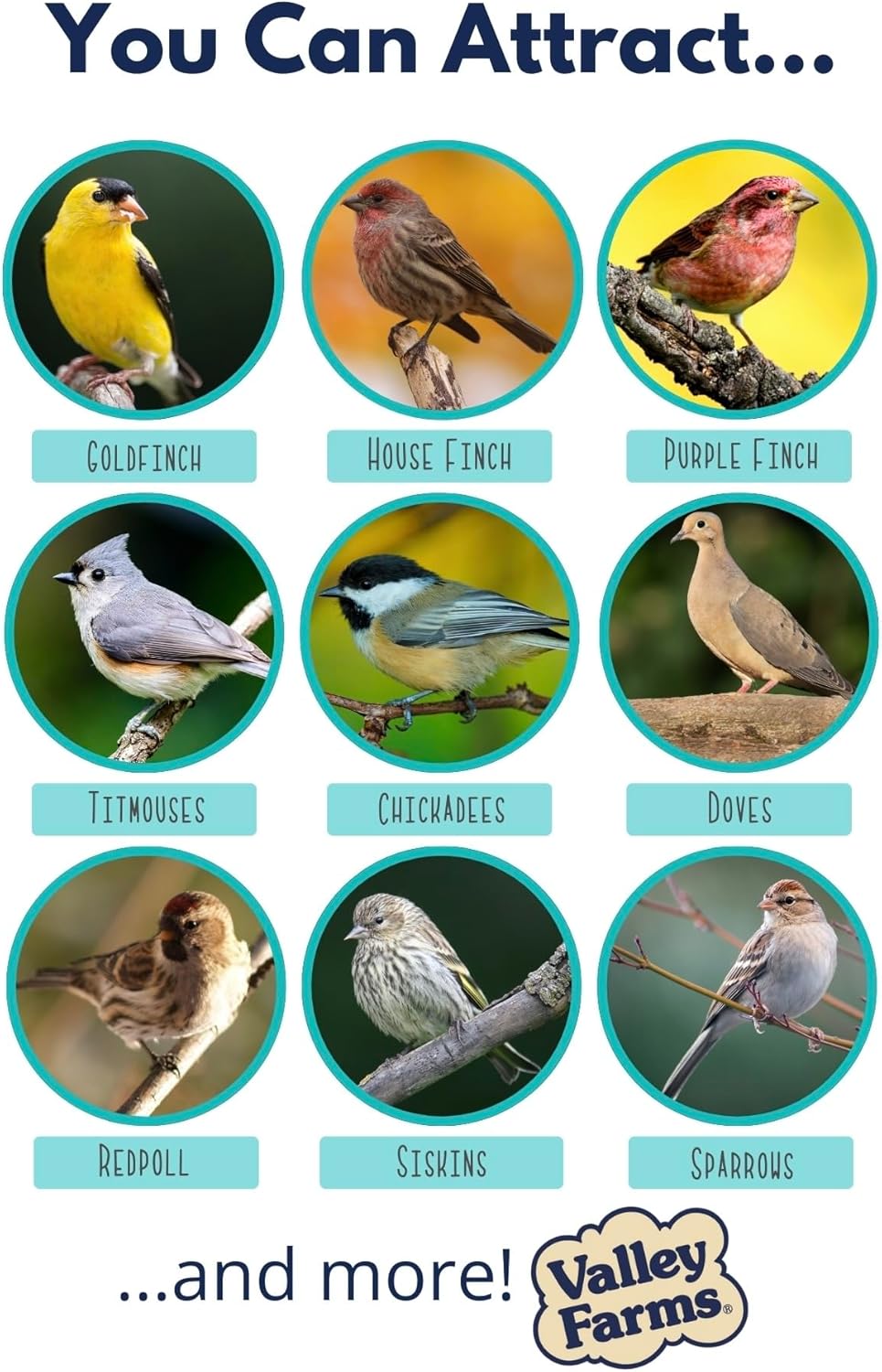 Valley Farms Wild Finch Mix 4 LB 2-Pack (8 LB Total) Wild Bird Food for Outside Feeders, Wild Bird