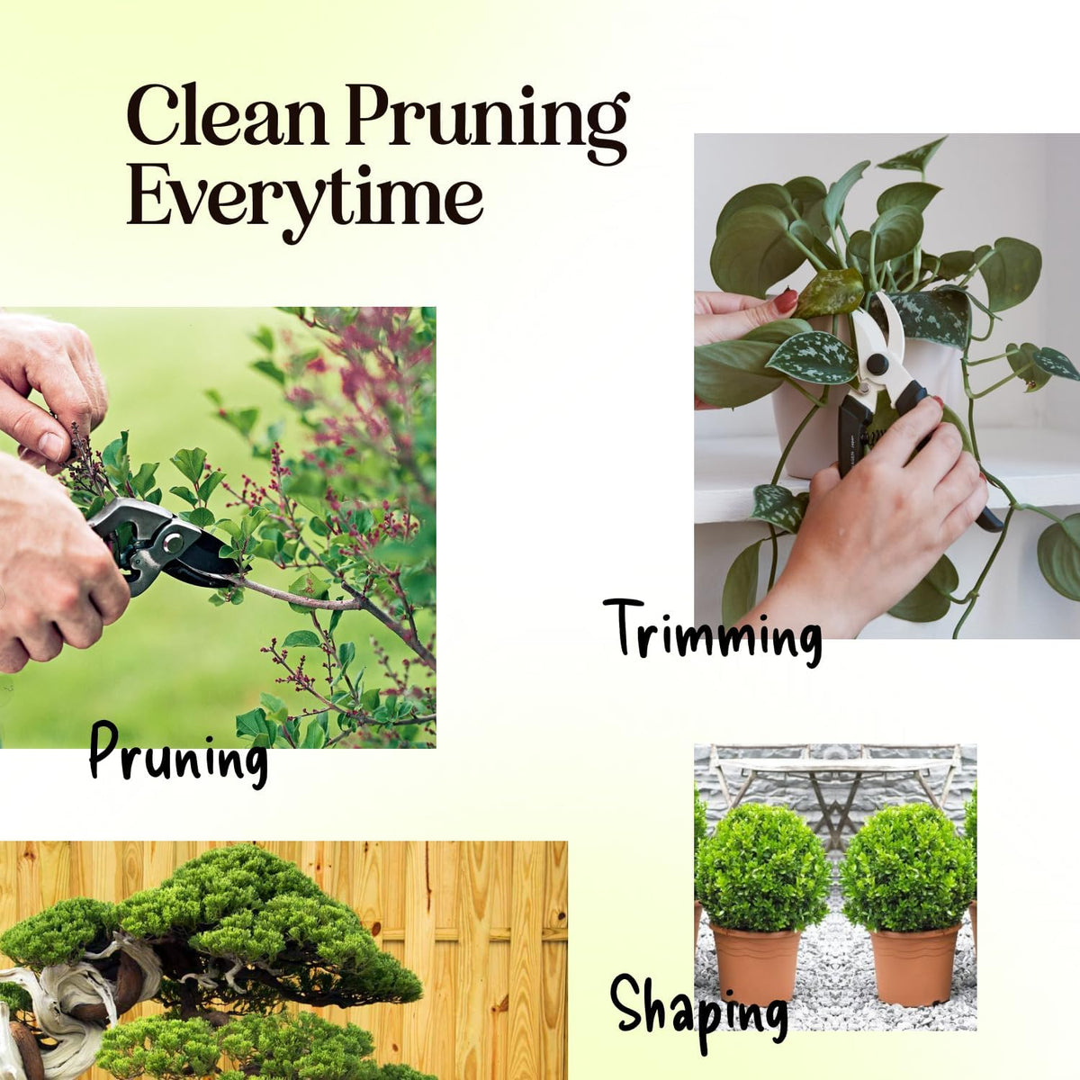 Ultra Sharp Pruning Shears Hedge Clipper – Cuts 3X Easier, Dual-Size Opening, Weak Hand Arthritis