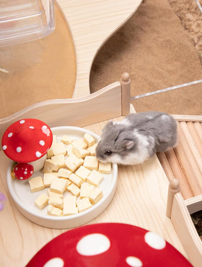 Niteangel Hamster Snack & Treats Toy - Small Animal Natural Treat for Dwarf Syrian Robo Hamsters