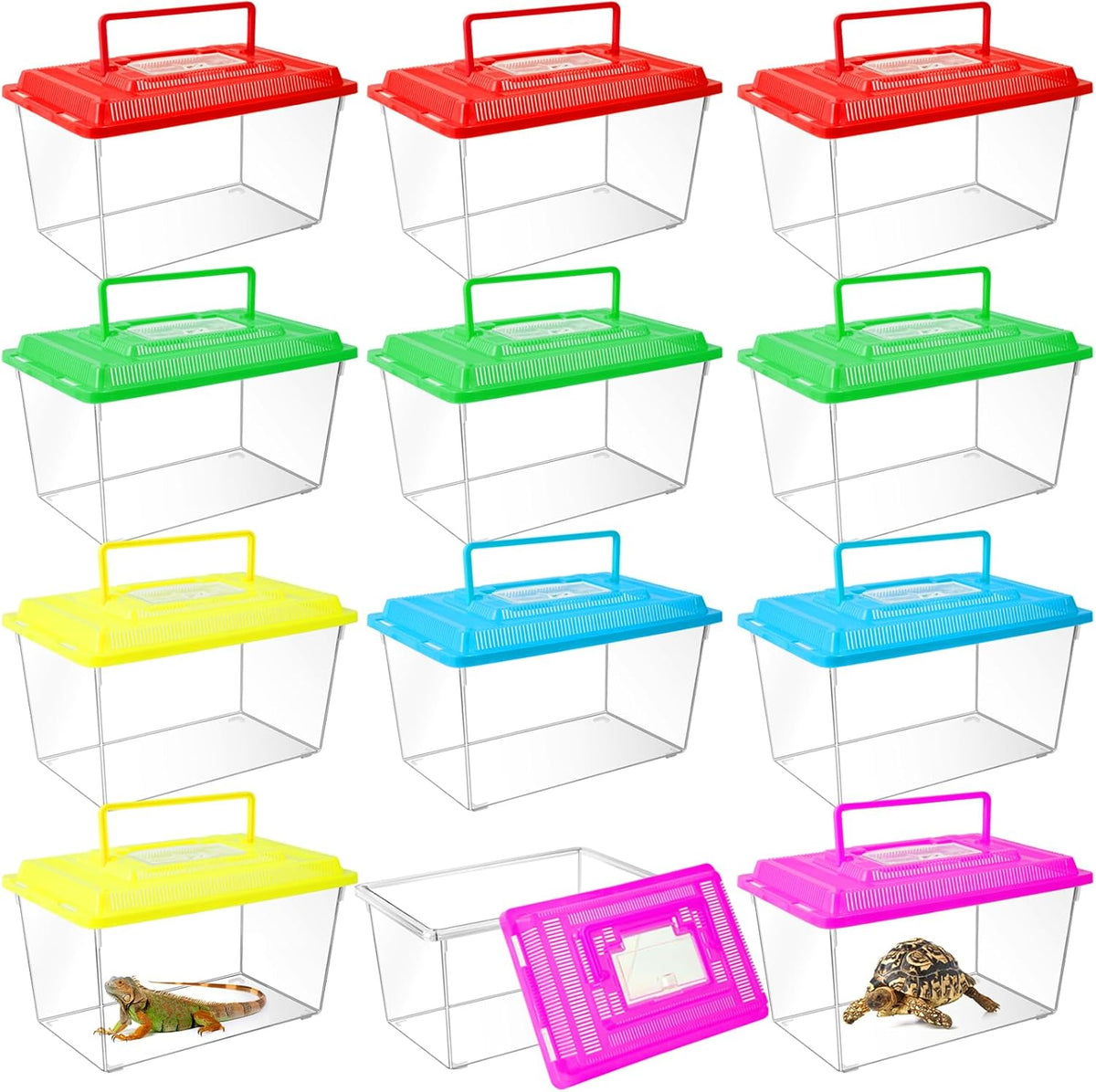 12Pcs Plastic Reptile Terrariums Carrier Cage, Tarantula Enclosure Breeding Box Hatching Container