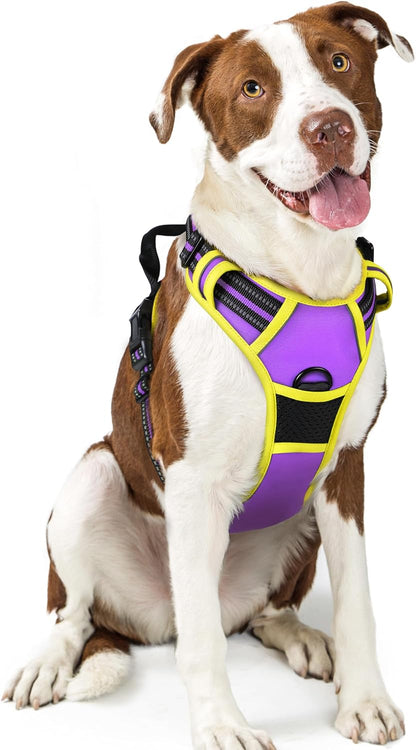 rabbitgoo Dog Harness No Pull with 2 Leash Clips, Adjustable Soft Padded, Reflective Oxford No