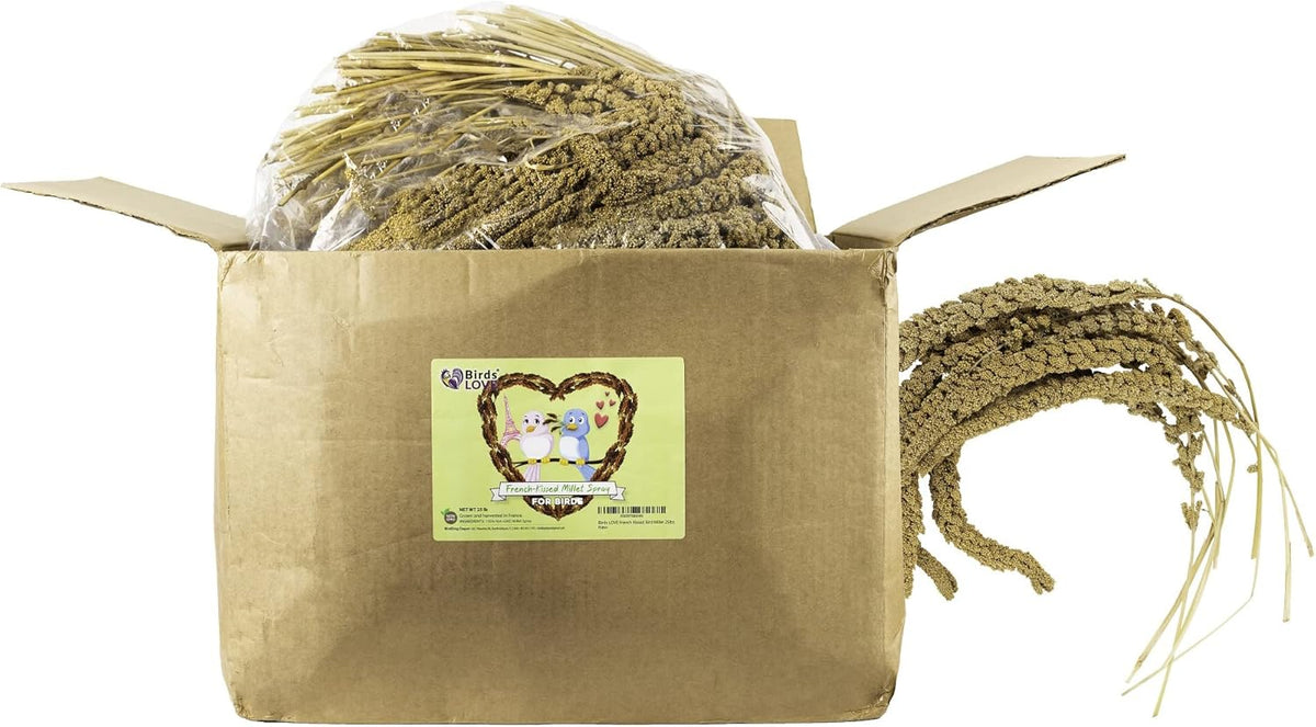 Birds LOVE French Kissed Spray Millet for Birds - Parakeets, Cockatiels, Lovebirds, Finches