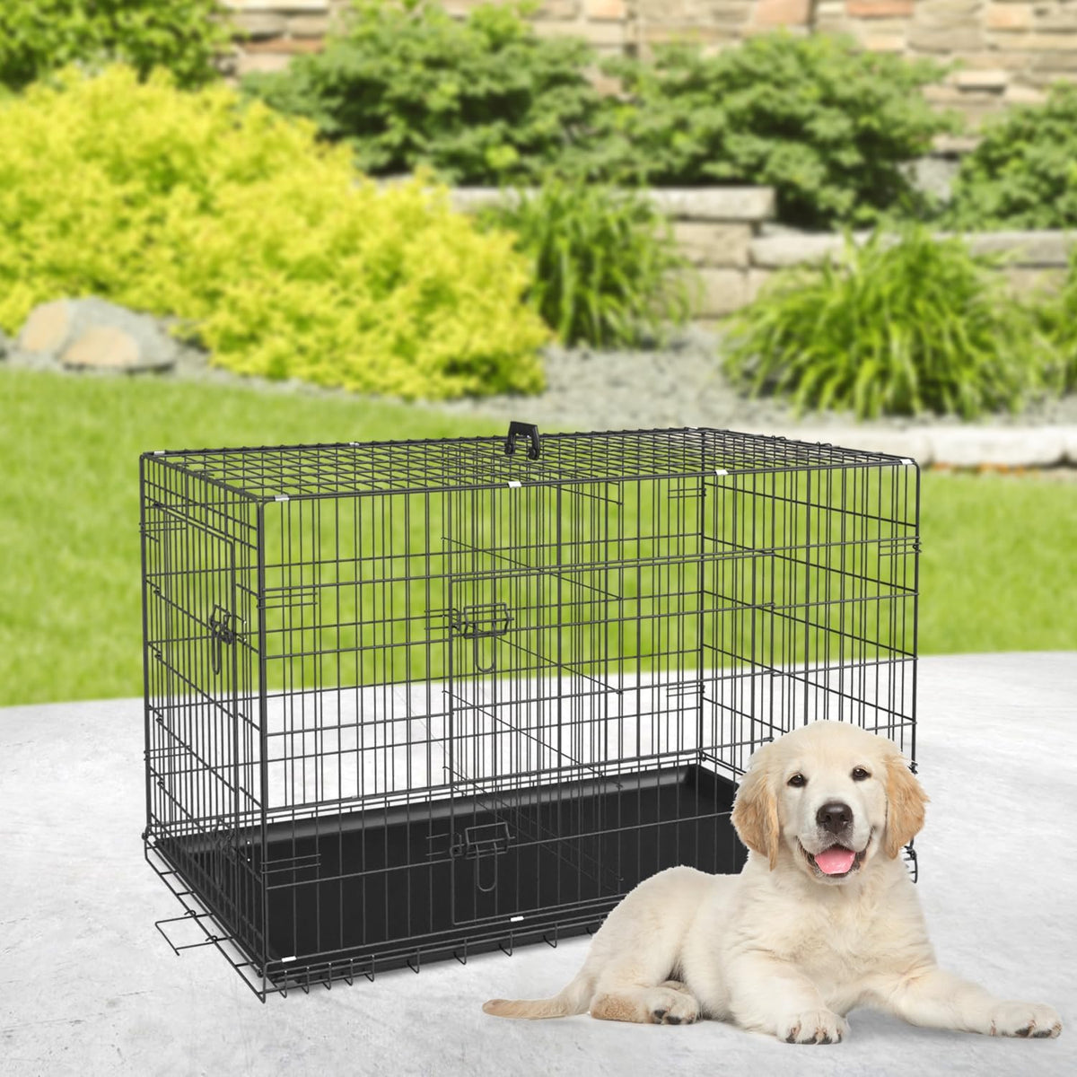 BestPet | Dog Crate | 24" | Black | Foldable Metal Kennel with Double Doors, Secure Slide-Bolt