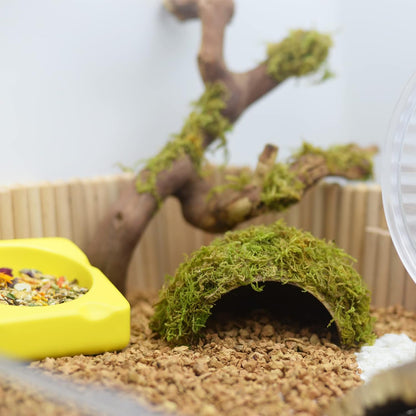 Hamster Hideaway/Hideout,Mossy Cave Hide,Hamster House/Hides,Hamster Cage Accessories for Gguinea