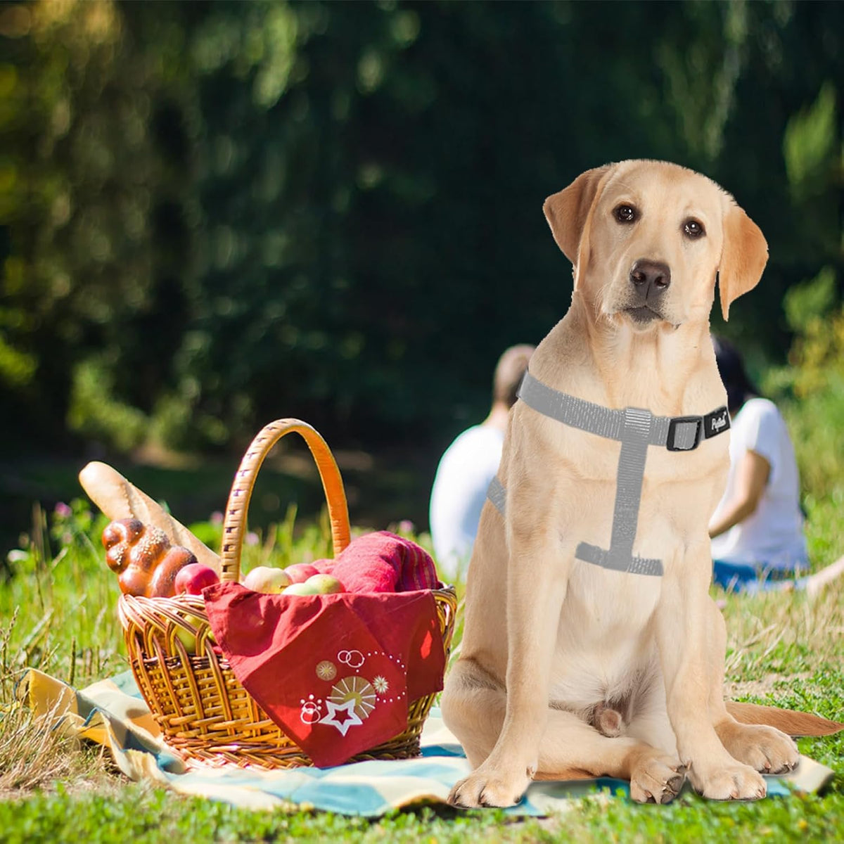 PUPTECK No Pull Dog Harness Soft Adjustable Basic Nylon Step in Puppy Vest Outdoor Walking with ID