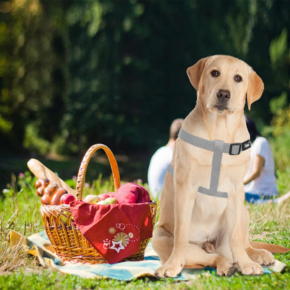 PUPTECK No Pull Dog Harness Soft Adjustable Basic Nylon Step in Puppy Vest Outdoor Walking with ID