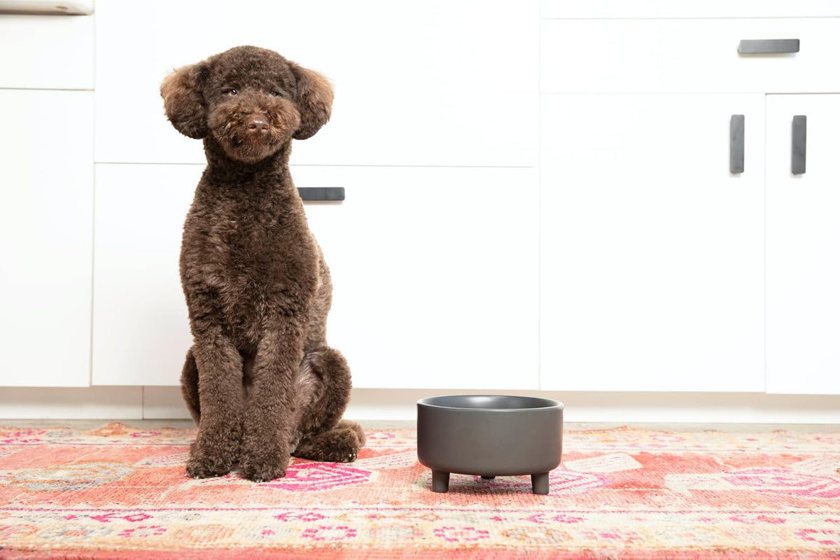 Waggo Uplift Ceramic Dog Bowl for Small Medium and Large Breeds - Heavyweight and Durable Pet Food