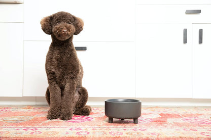 Waggo Uplift Ceramic Dog Bowl for Small Medium and Large Breeds - Heavyweight and Durable Pet Food