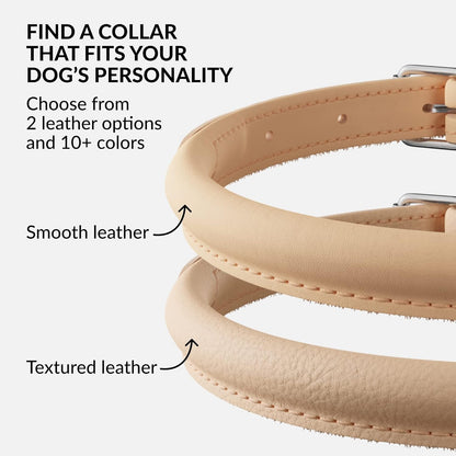 CollarDirect Rolled Leather Dog Collar, Soft Padded Round Puppy Collar, Handmade Genuine Leather