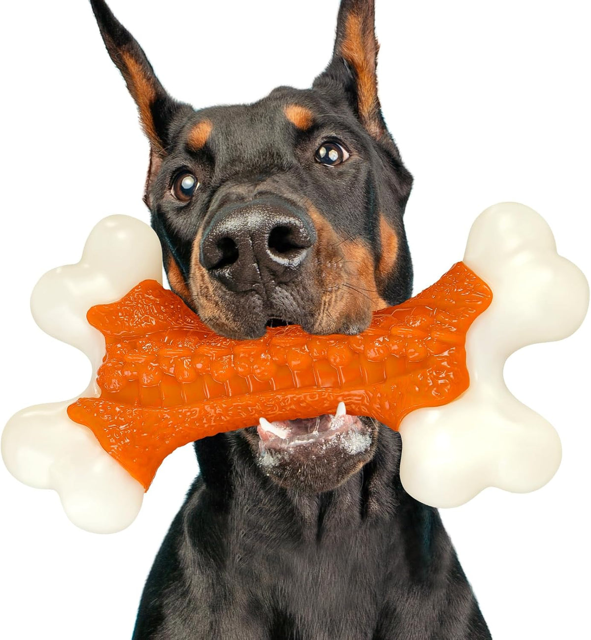 Dog Toys for Aggressive Chewers Large Breed, Tough Bones, Nylon Puppy Teething Chew Toys Medium