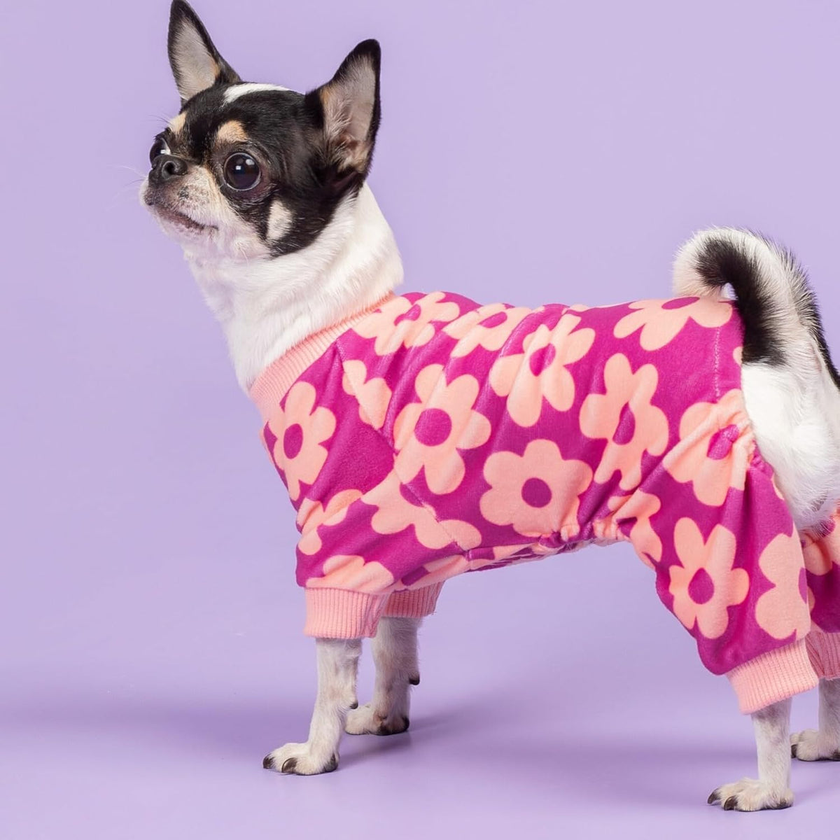 Fitwarm Flower Fleece Dog Pajamas, Warm Winter Dog Clothes for Small Dogs Girl, Cozy Pet Onesie