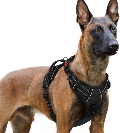 rabbitgoo Dog Harness for Large, No Pull Pet Harness with 3 Buckles, Adjustable Soft Padded Vest