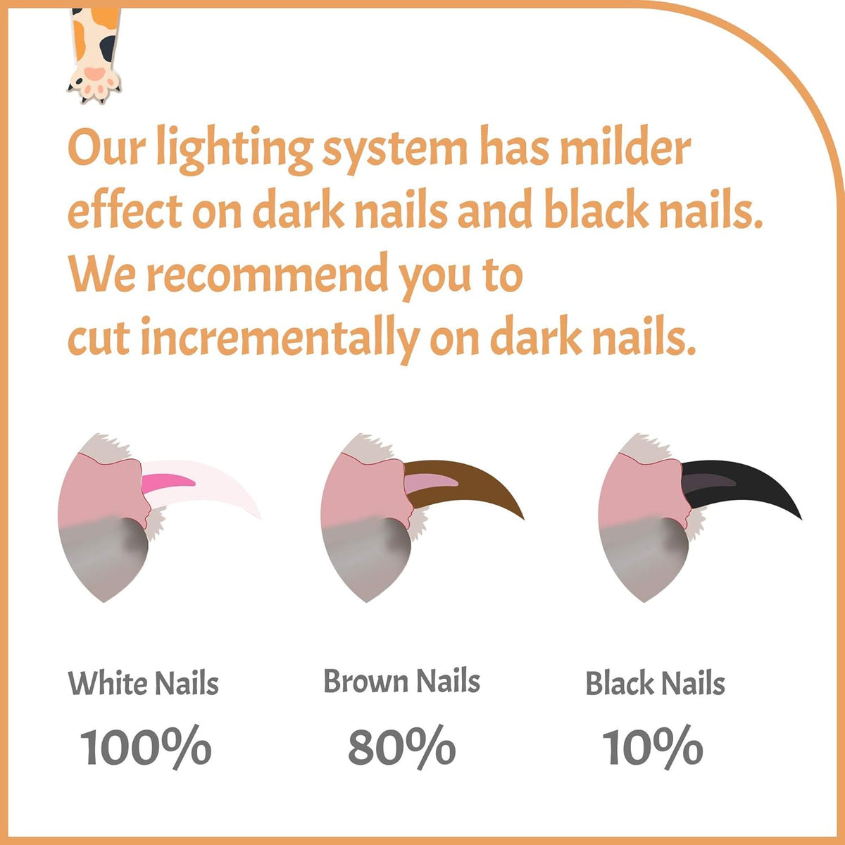 Reinvented Pet Nail Clippers for Your Pal - USB Rechargeable LED Light for Bloodline | Razor Sharp
