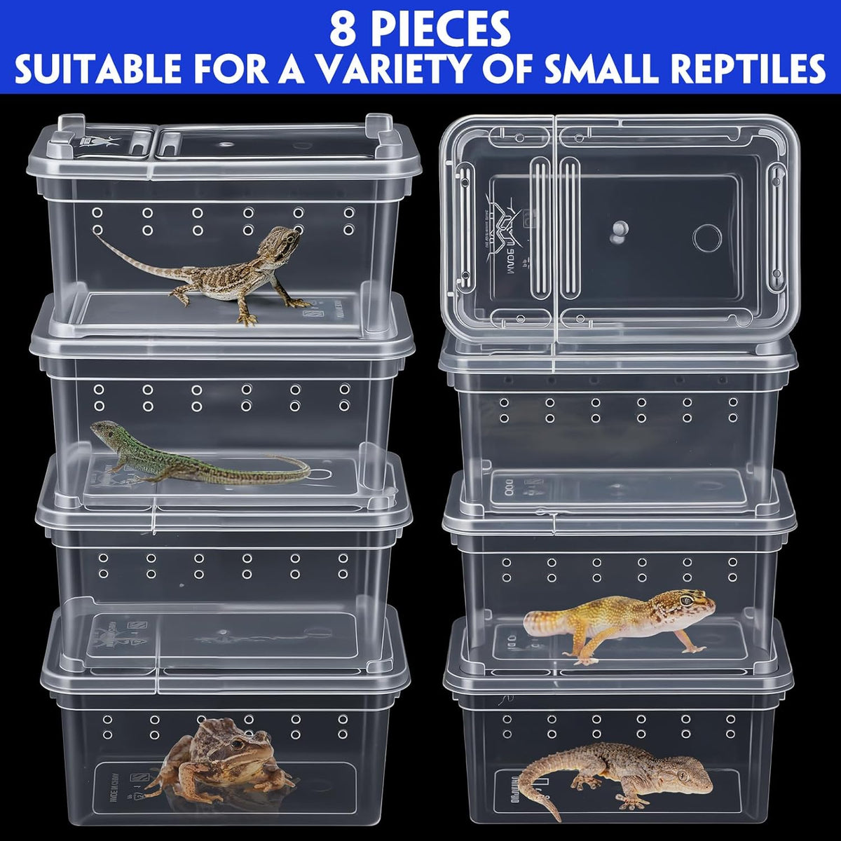 Irenare 8 Pcs Reptile Breeding Breeding Box Plastic Spider Terrarium Tarantula Feeding Box for