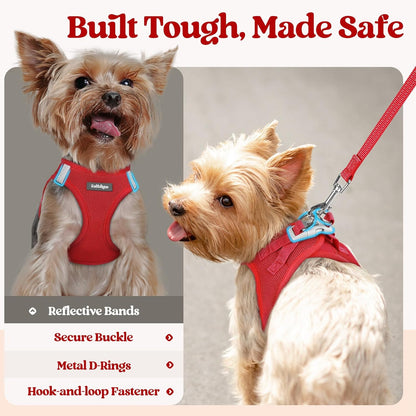 rabbitgoo Dog Harness Small Sized and Leash Set, Step in Soft Light Puppy Vest, Breathable Mesh Pet