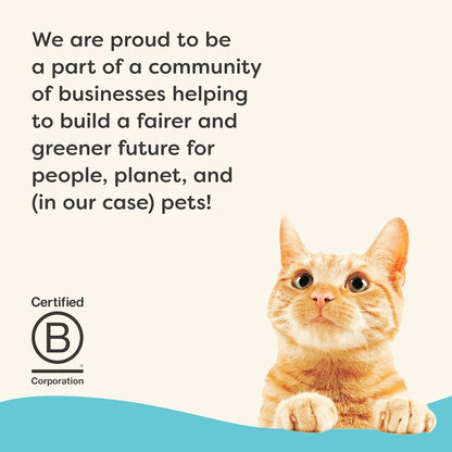 Applaws Vitality Wet Cat Food in Broth, Natural Canned Cat Food, Wet Food for Cats with Added
