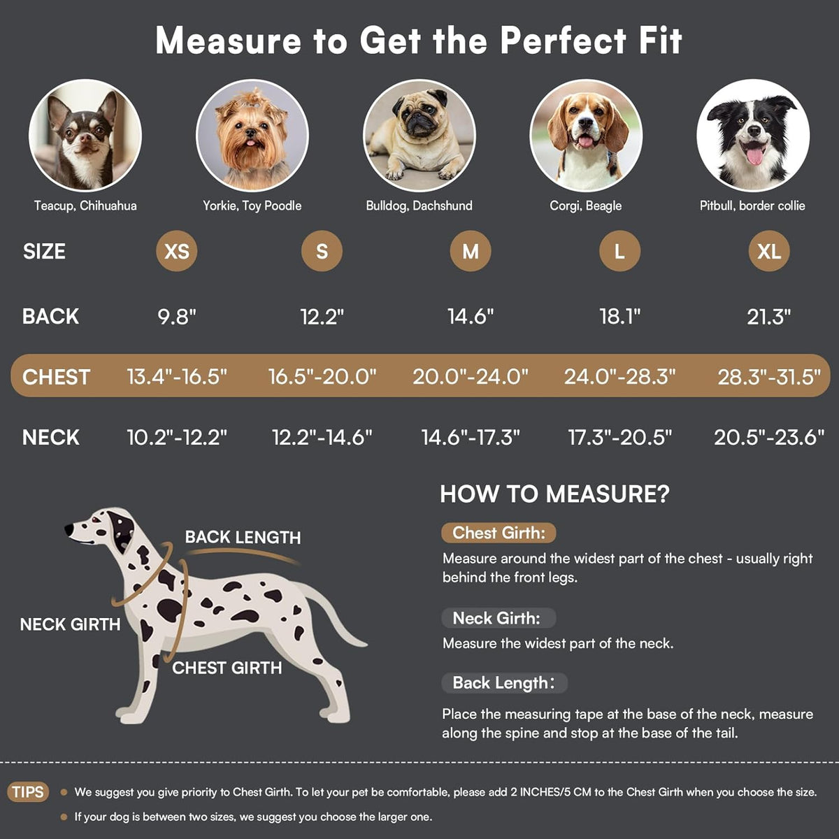Queenmore Dog Winter Coat Warm Puffer Jacket Waterproof Plush Lining Thermal Cold Weather Vest for