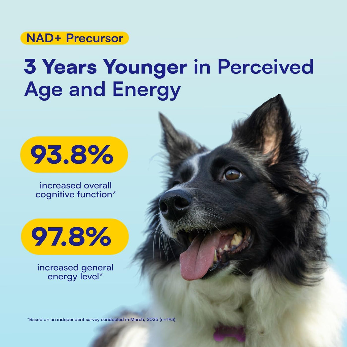 NAD+ Precursor & Senior Dog Supplement - 90 Soft Chews & Vitamins - NMN Alternative for Longevity