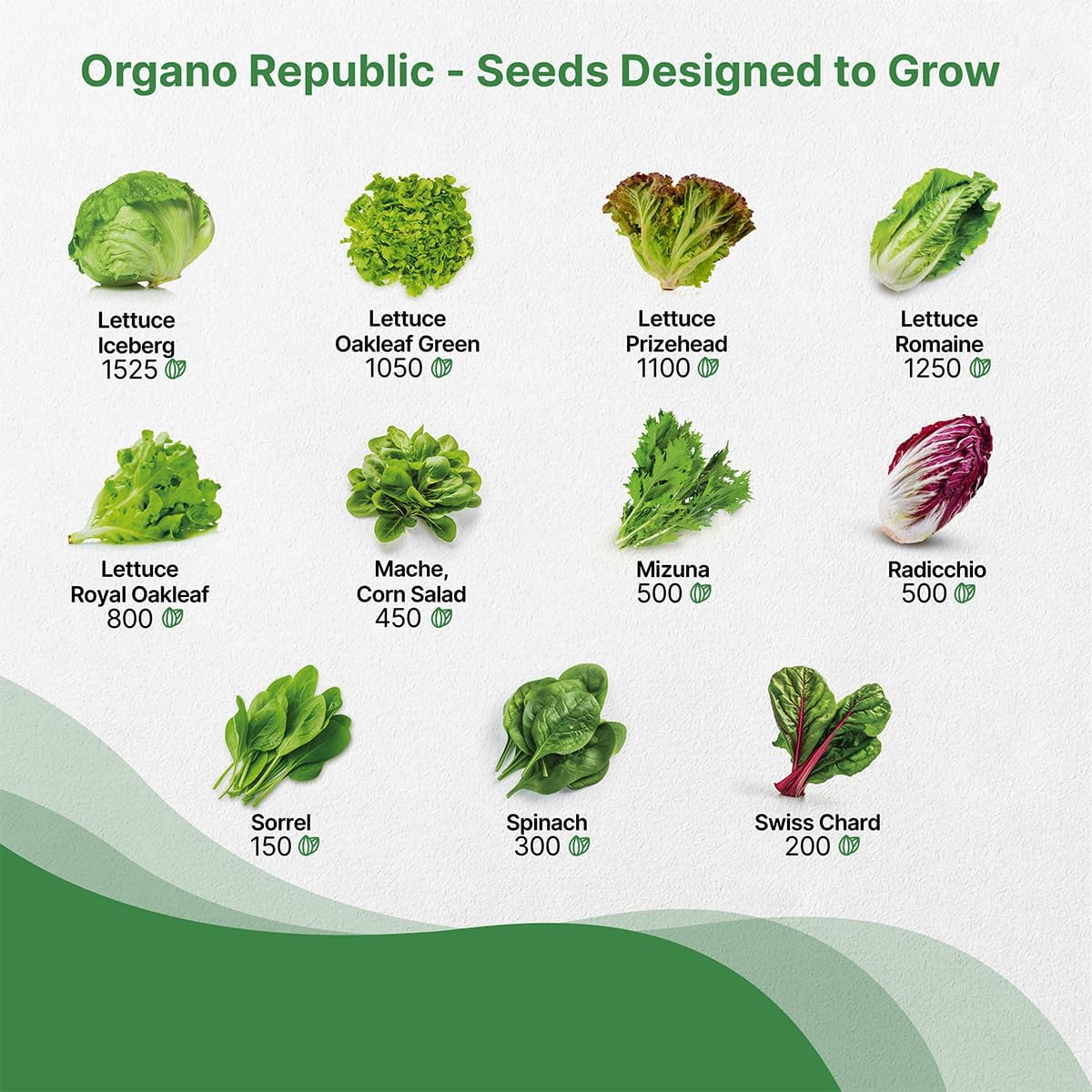 Organo Republic 22 Lettuce & Salad Greens Seeds Variety Pack 24,700+ Non-GMO Heirloom Lettuce Seeds