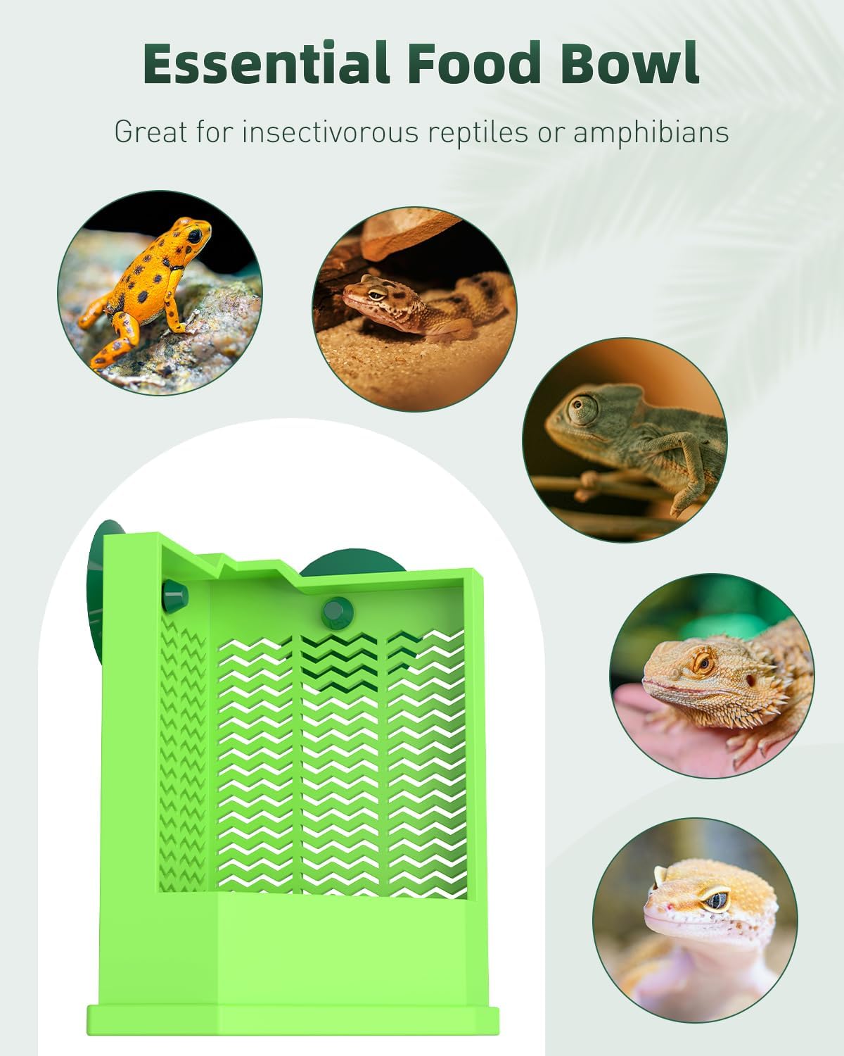 Pawfly Bearded Dragon Feeder - Escape-Proof Corner Reptile Food Box, Wall-Mounted with Suction Cups