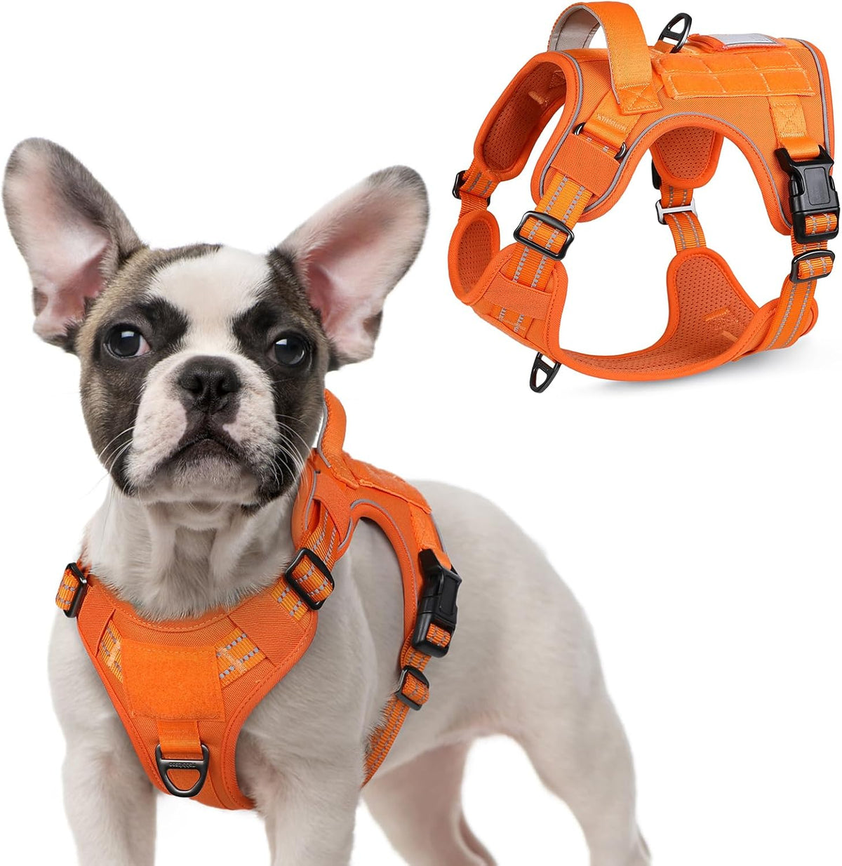 rabbitgoo Tactical Dog Harness for Small Dogs, No Pull Military Service Vest with Handle & Molle