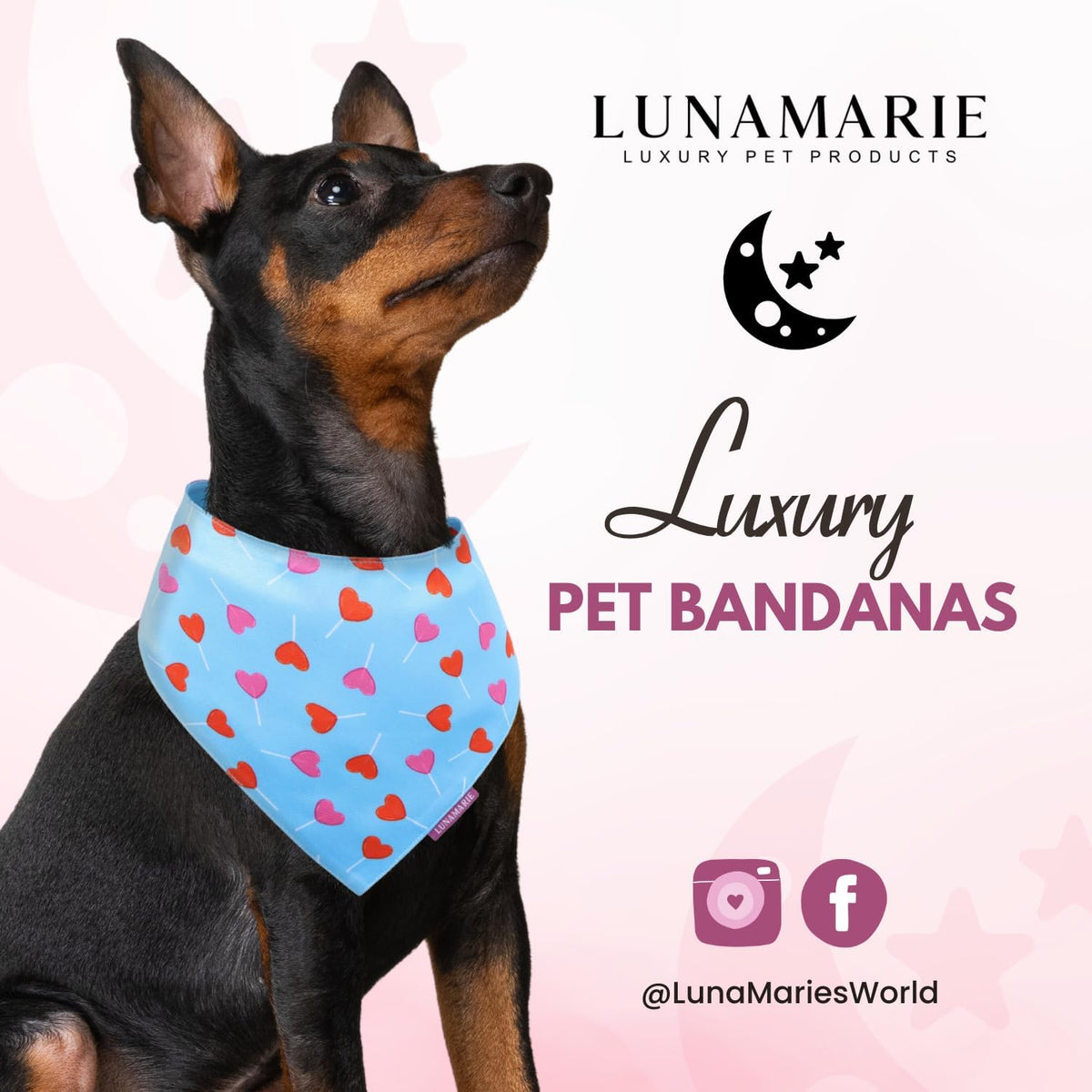 LunaMarie - Luxury Pet Birthday Bandanas -Premium & Silky Poly Fabric | 100% Handmade | Custom