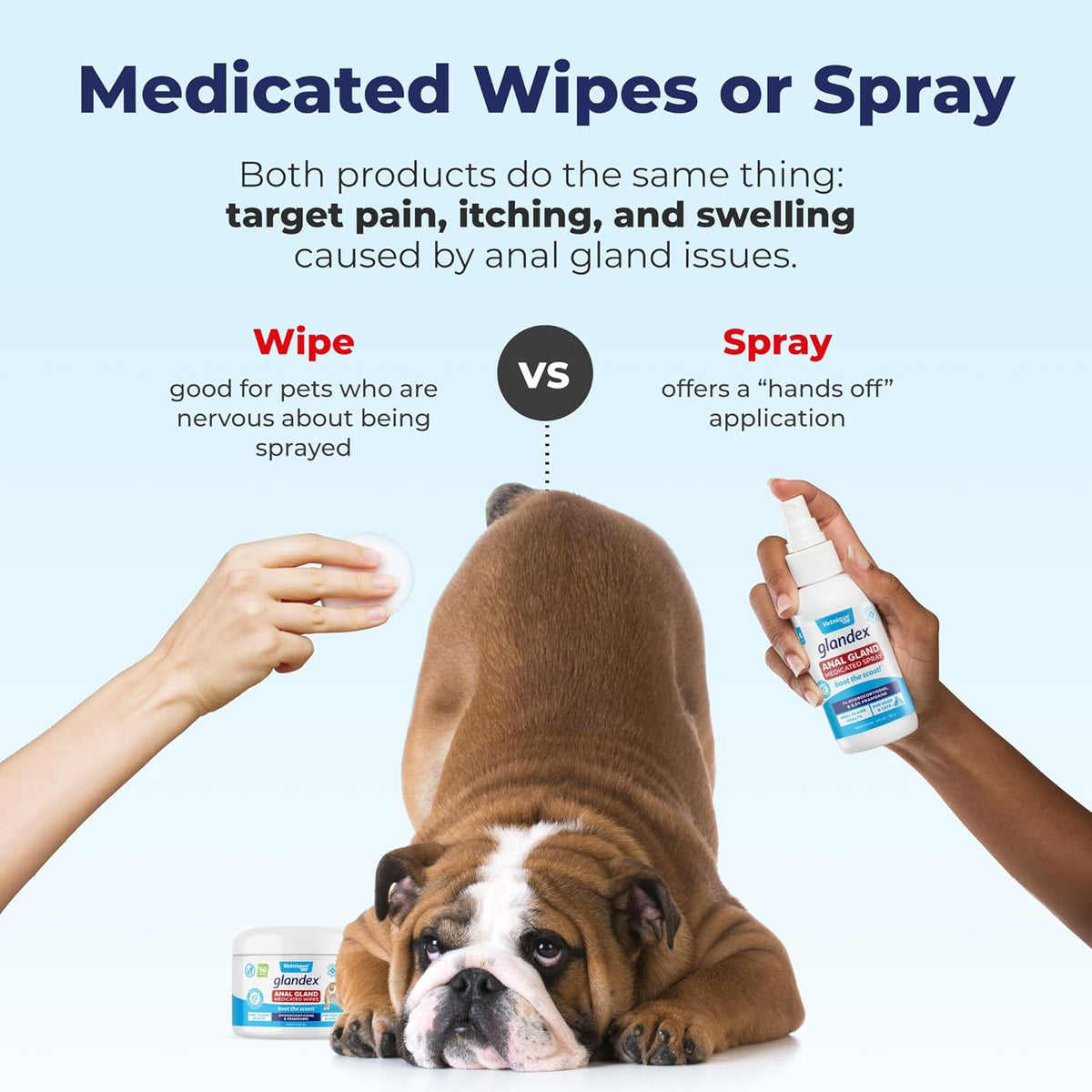 Vetnique Glandex Medicated Dog Butt Wipes or Spray for Dog Scooting - Topical Anti Itch Skin Relief