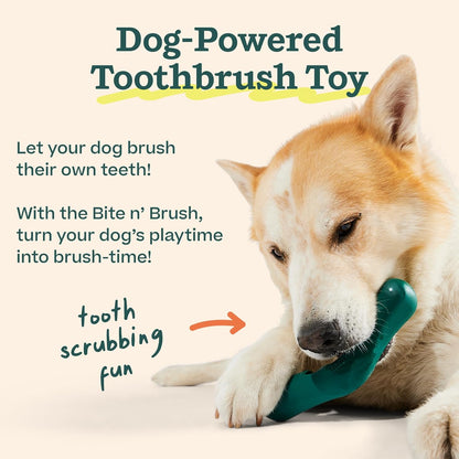WOOF - Bite n' Brush Refills for The Dog Toothbrush Toy - Scrub Plaque and Tartar from Your Dog's