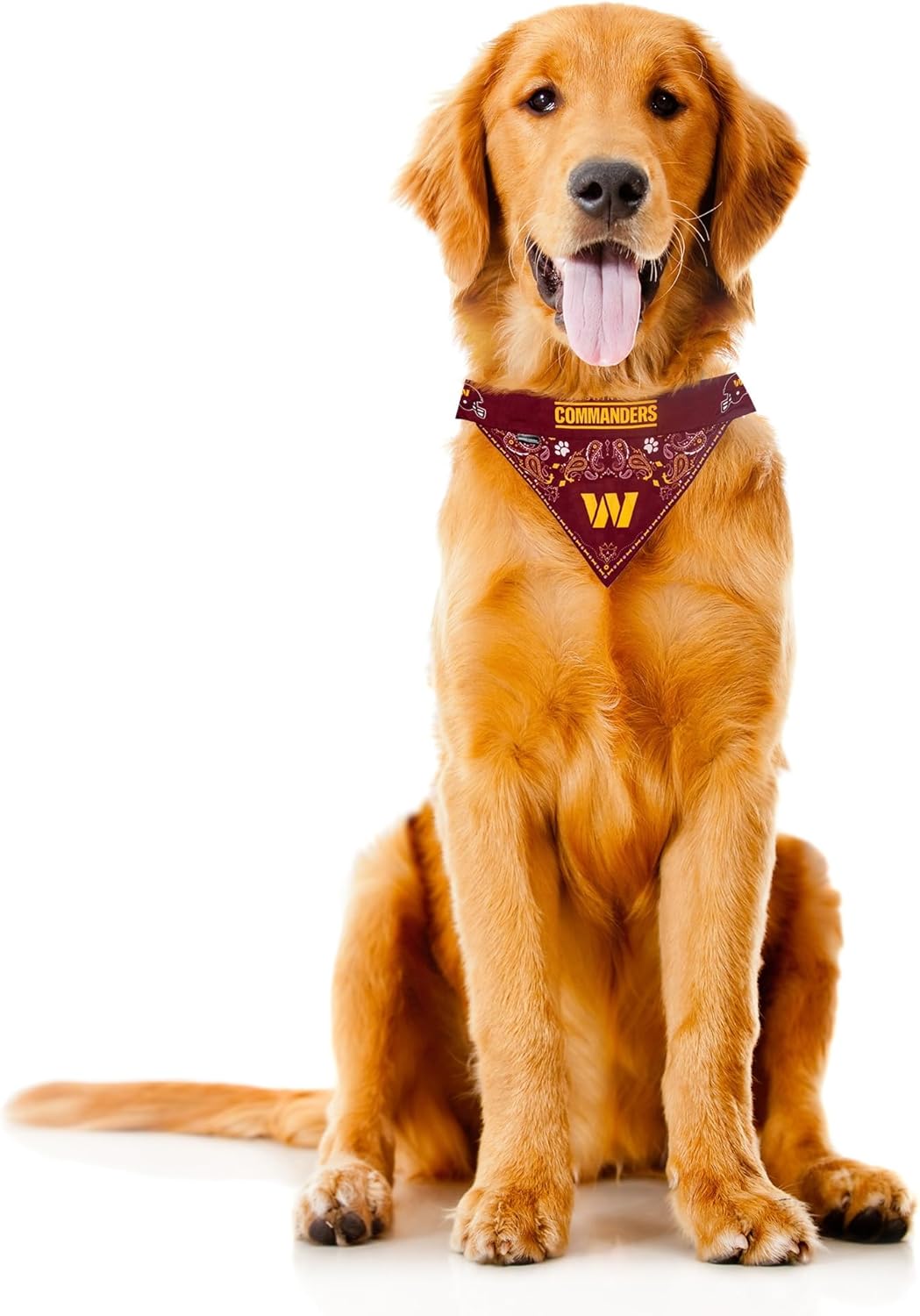 Littlearth NFL Pet Bandana - Reversible