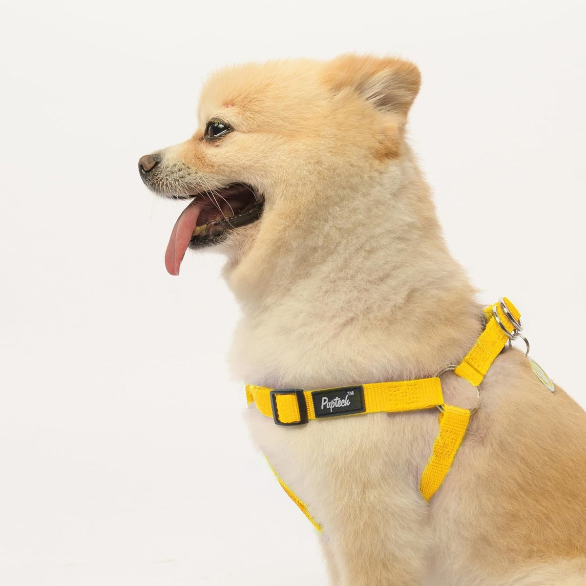 PUPTECK No Pull Dog Harness Soft Adjustable Basic Nylon Step in Puppy Vest Outdoor Walking with ID