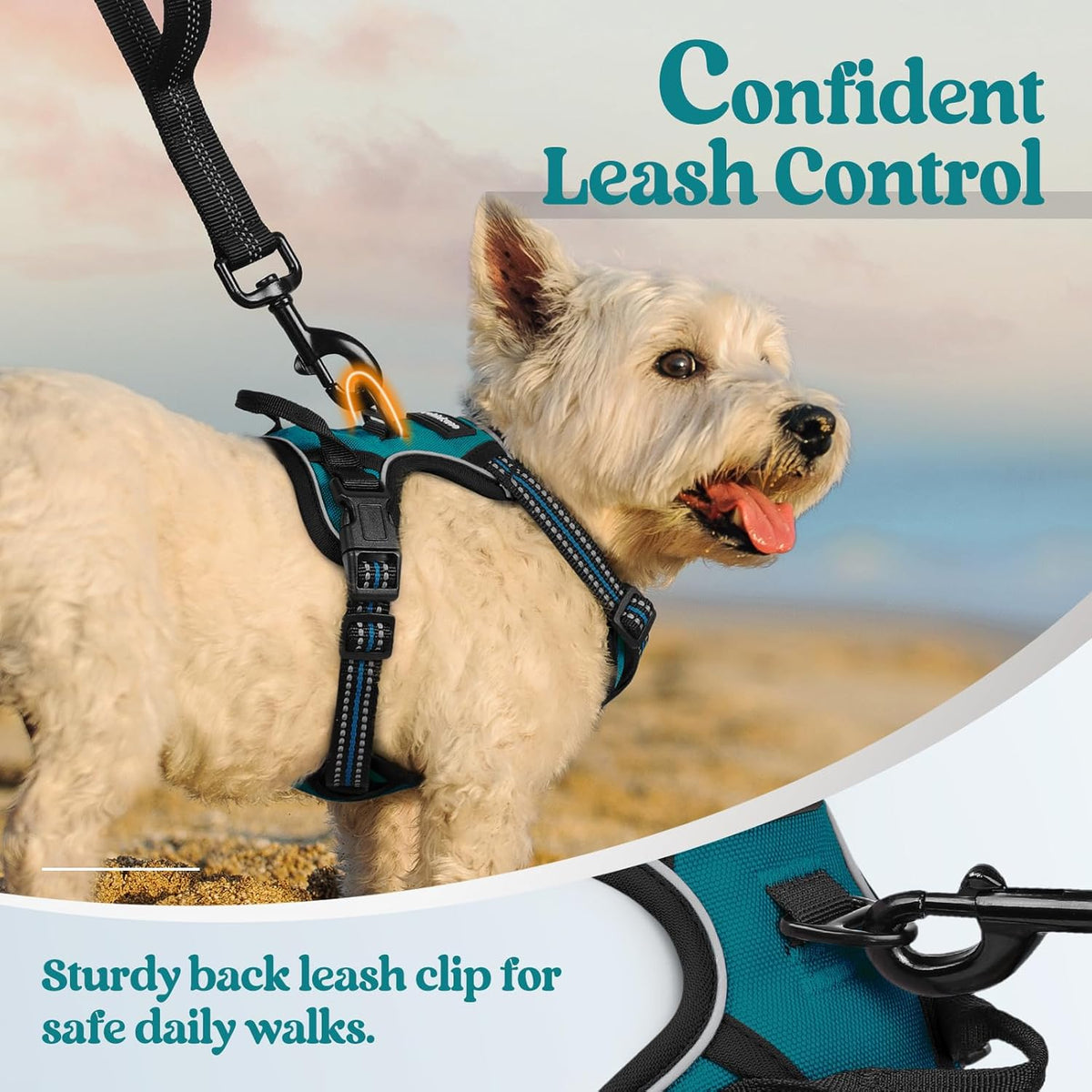 rabbitgoo Dog Harness No Pull with 2 Leash Clips, Adjustable Soft Padded, Reflective Oxford No