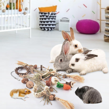 Bissap Bunny Chew Toy, Rabbits Cage Hanging Chew Toys and Treats Rattan Ring with Snacks Water
