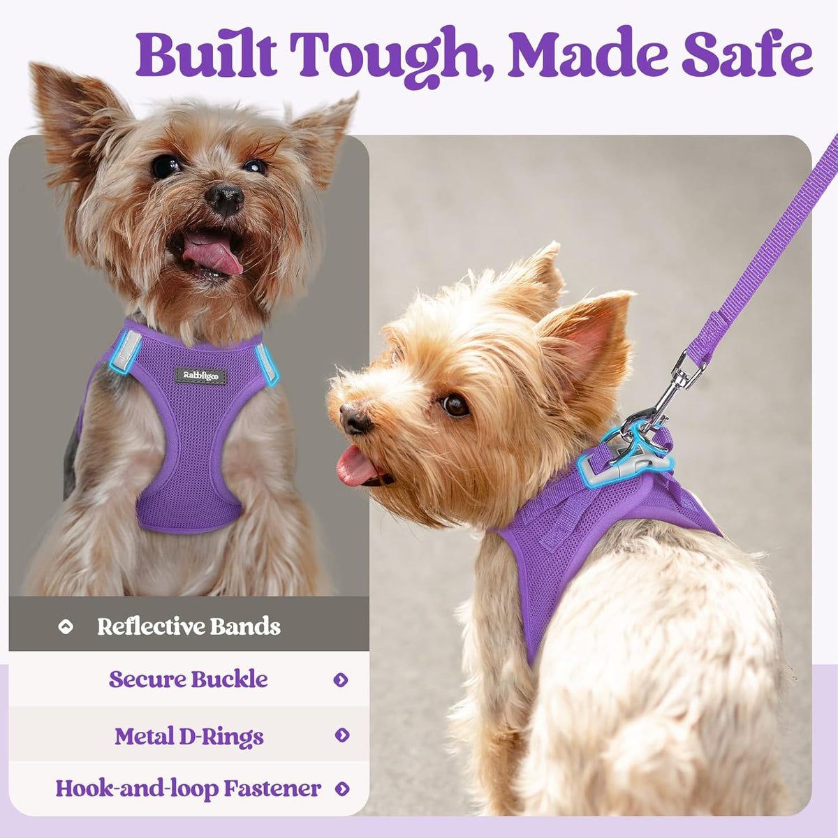 rabbitgoo Dog Harness Small Sized and Leash Set, Step in Soft Light Puppy Vest, Breathable Mesh Pet