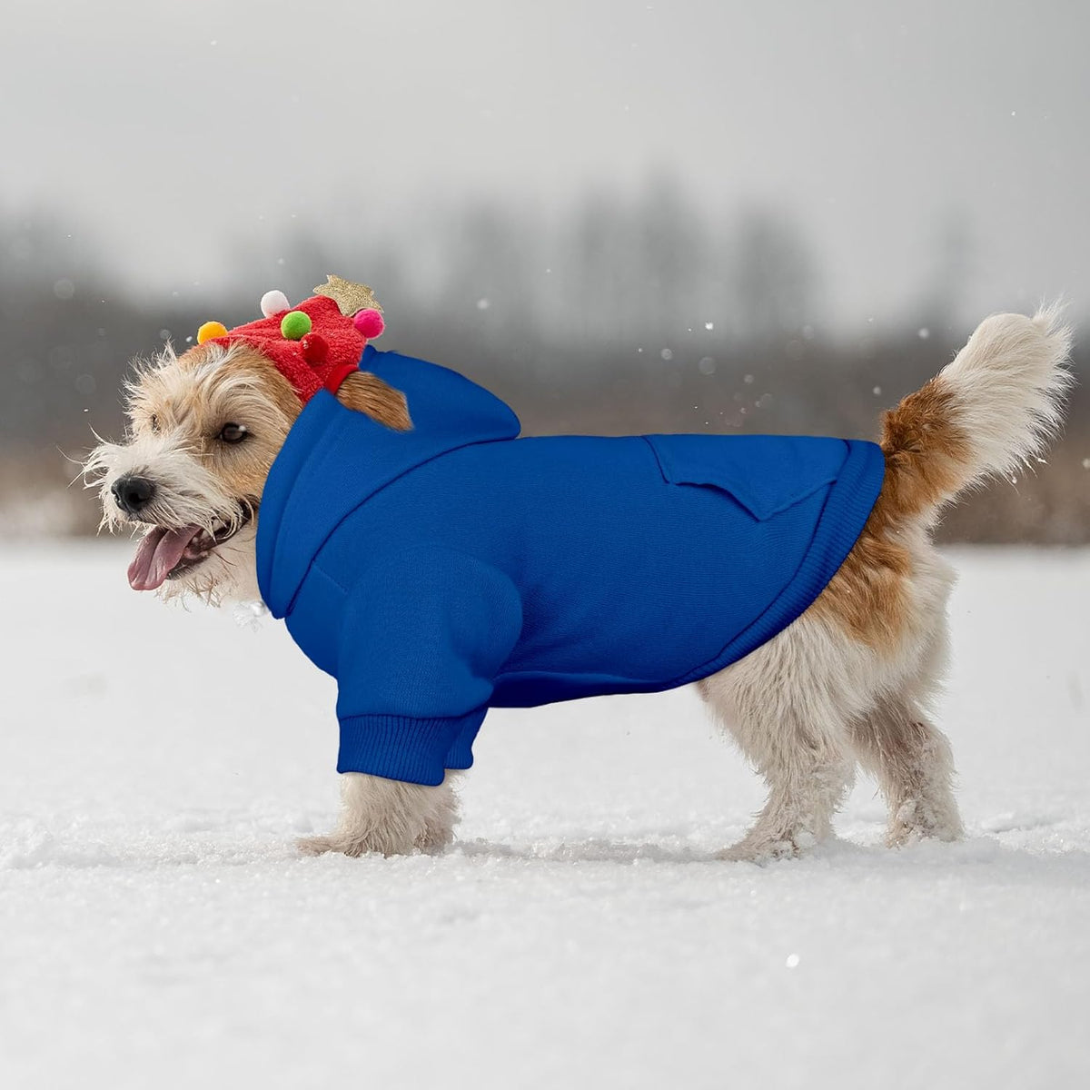 Dog Sweaters for Small Dogs Dog Hoodie Pet Sweater Solid Soft Brushed Fleece Pet Clothes Hoodie