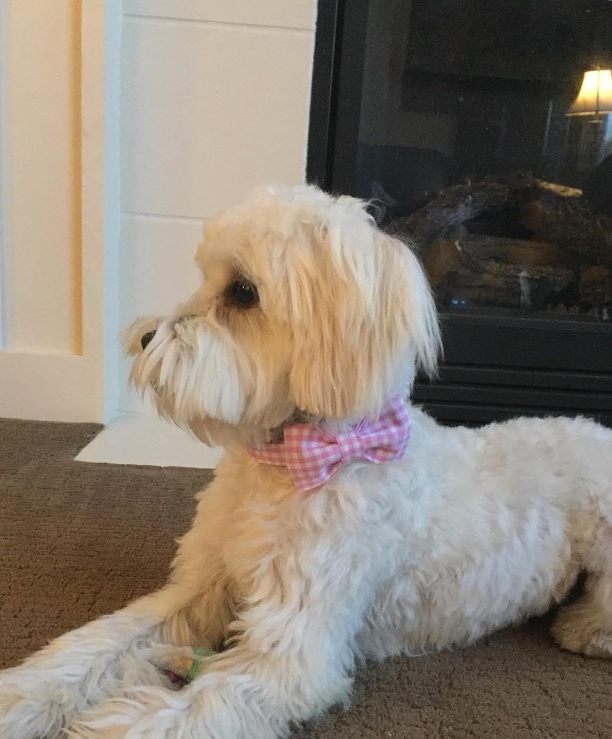 Lionet Paws Dog Collar with Bowtie, Comfortable Adjustable Cute Pink Gingham Bow Tie Collar for