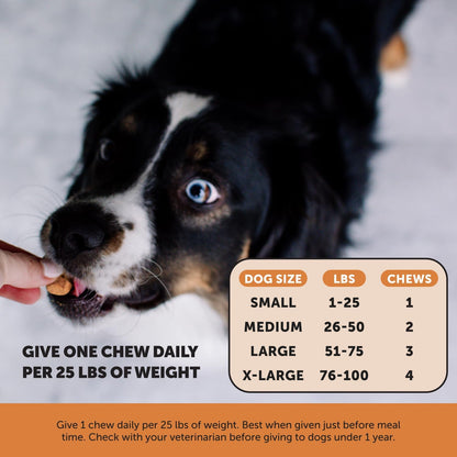 Hip & Joint Health Max Strength - Natural Joint Supplement for Dogs Chews - Glucosamine, Omega-3s
