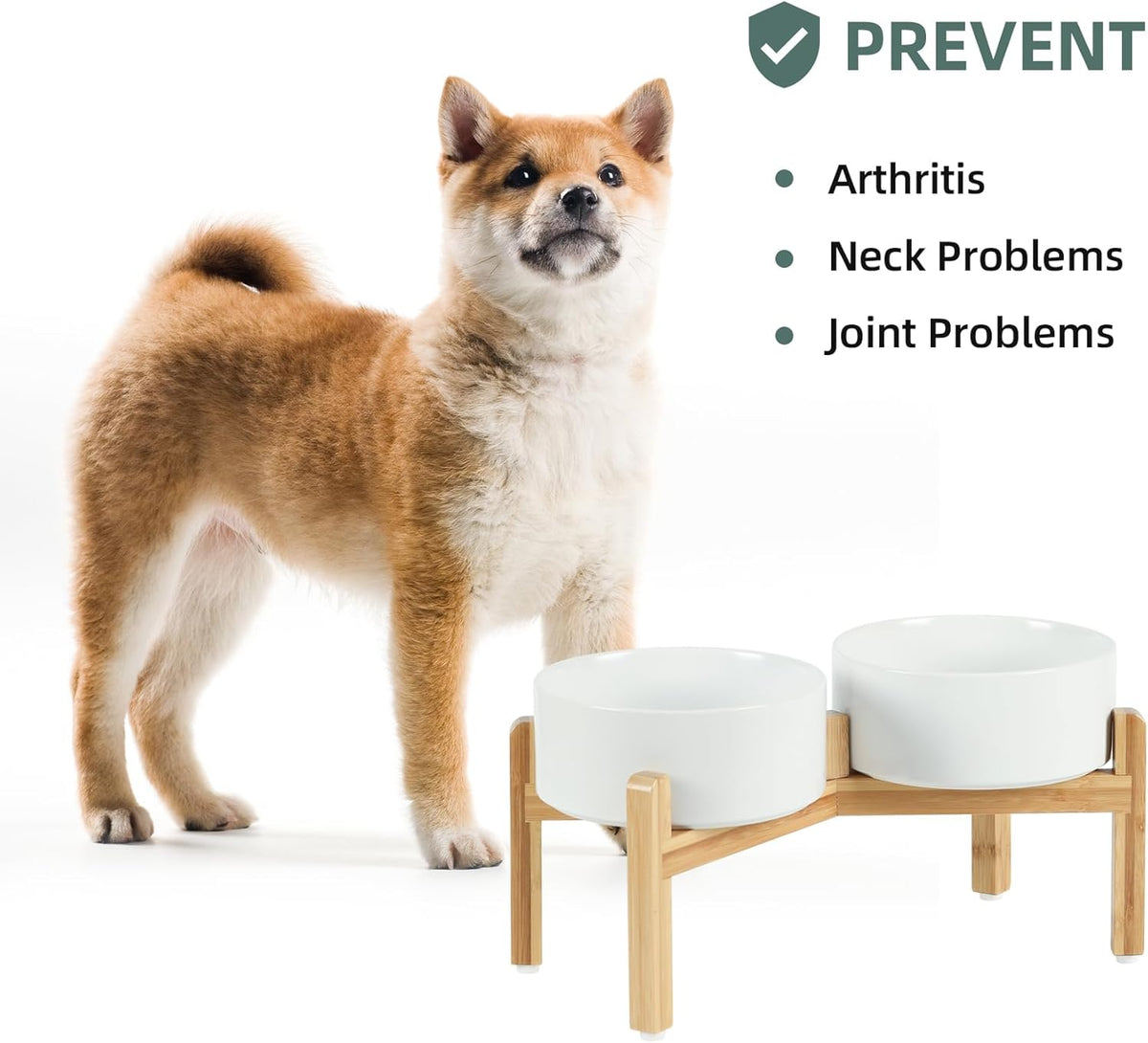 Ceramic Raised Double Bowls Set with Stand, Food & Water Bowls for Medium Breed Dogs, Weighted Dog