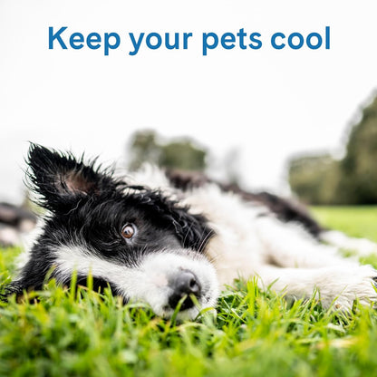 The Green Pet Shop Cool Pet Pad - Medium, Disney’s Stitch - Self-Cooling, Pressure Activated Mat