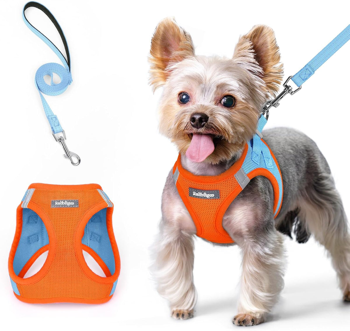 rabbitgoo Dog Harness Small Sized and Leash Set, Step in Soft Light Puppy Vest, Breathable Mesh Pet