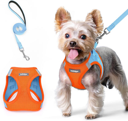 rabbitgoo Dog Harness Small Sized and Leash Set, Step in Soft Light Puppy Vest, Breathable Mesh Pet