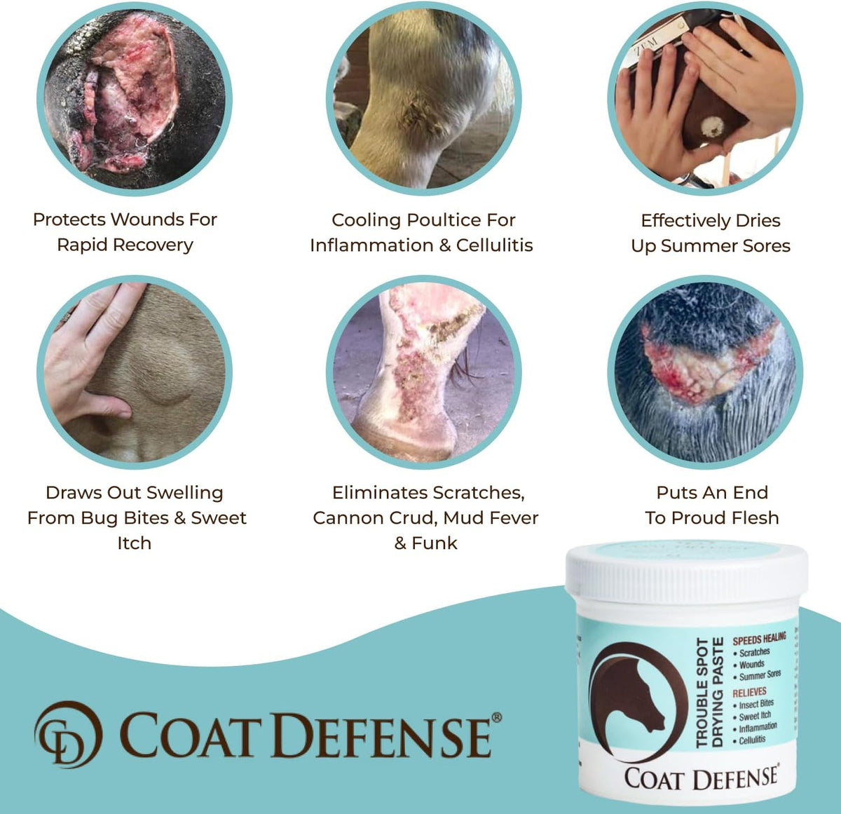COAT DEFENSE Trouble Spot Drying Paste for Horses - Natural Equine Wound Care That Provides Safe &