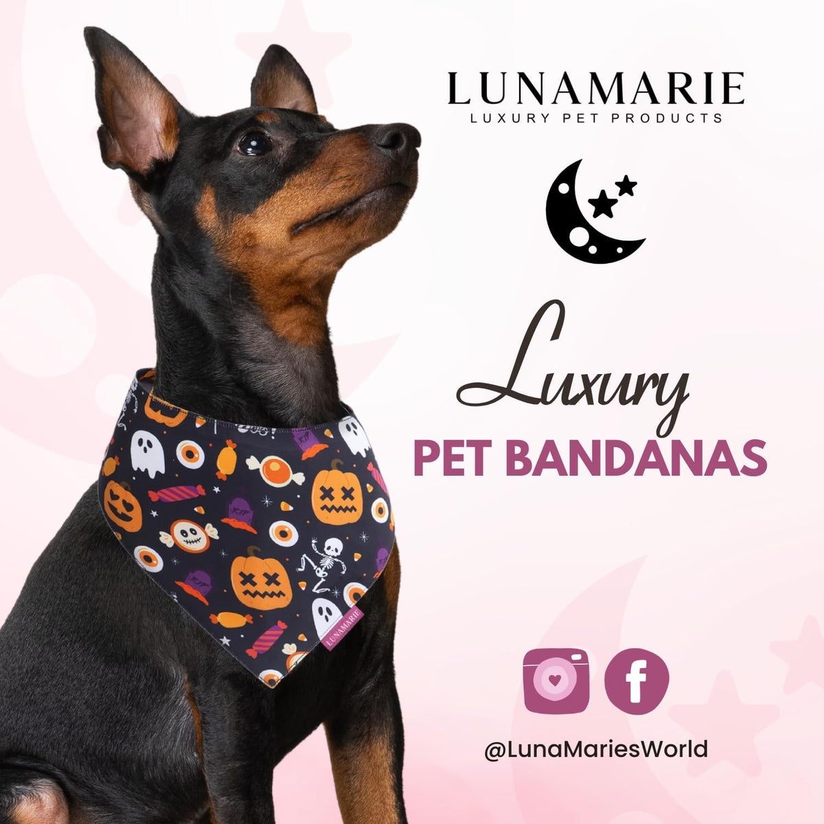 LunaMarie - Luxury Cat and Dog Bandanas - Halloween Designs | Premium Silky Poly Fabric | 100%