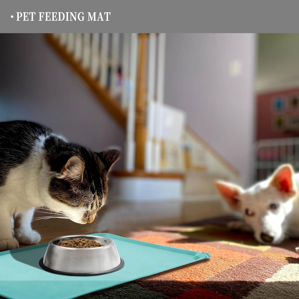 Waterproof Pet Feeding Mat with High Raised Edges, Heavier and Thicker Placemats for Cat Dog Water