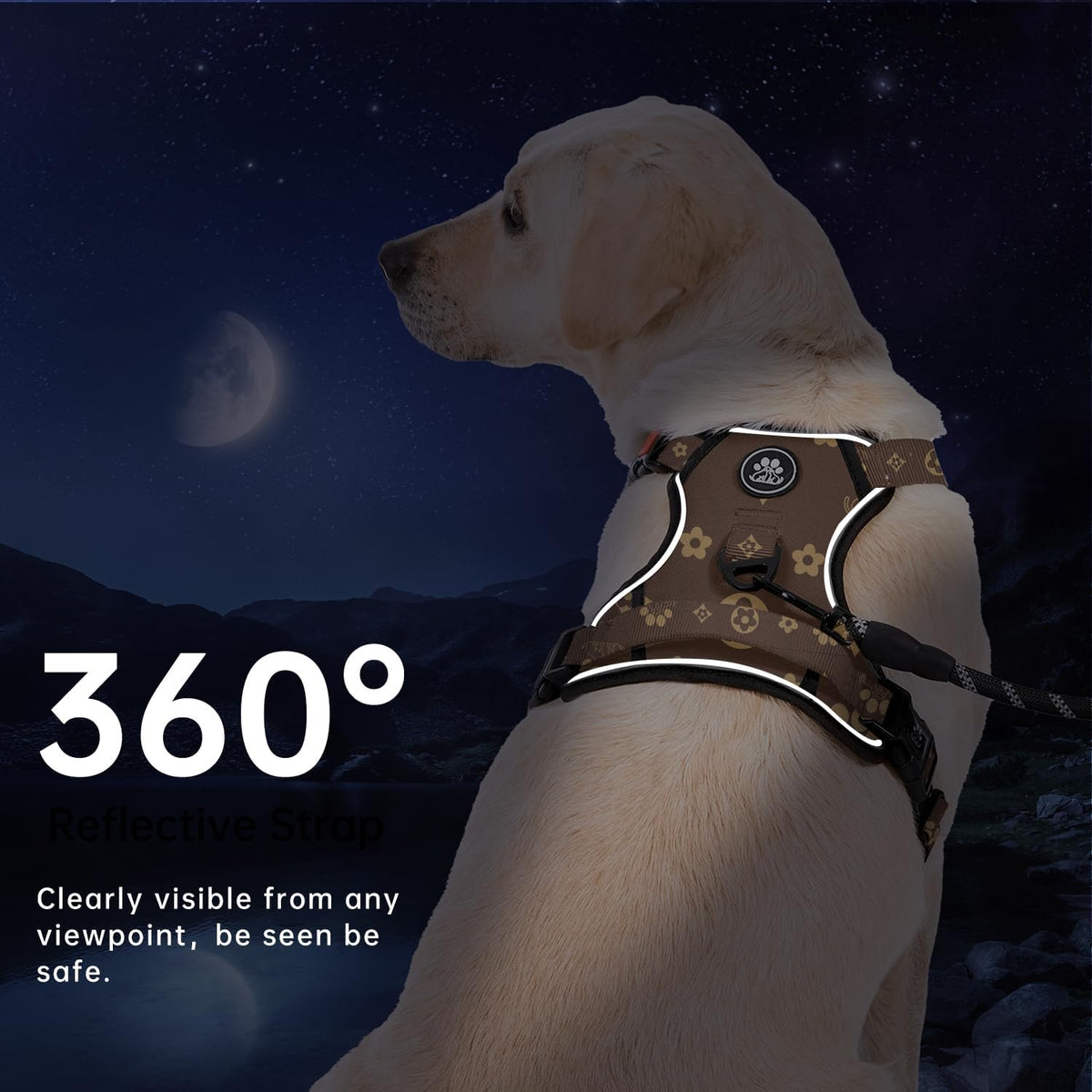 IVY&LANE No Pull Dog Harness with Leash Set, Reflective No Choke Pet Vest,Adjustable Oxford Dog