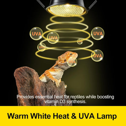 G9 Reptile Heat Lamp Combo Kit- 50W UVA Basking Bulb & Low Profile Tank Hood for Bearded Dragons